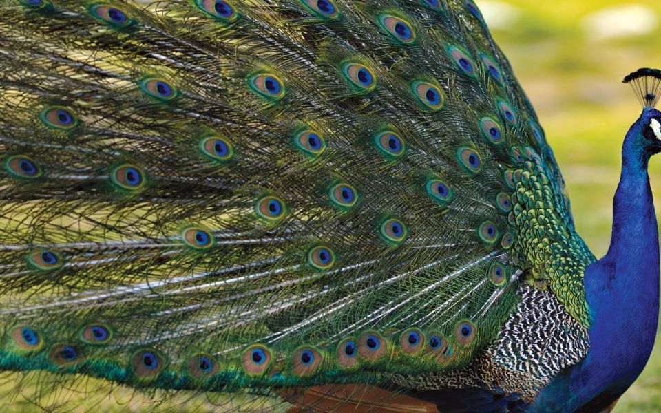 Science Square (Issue 166)