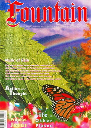 Issue 13 cover